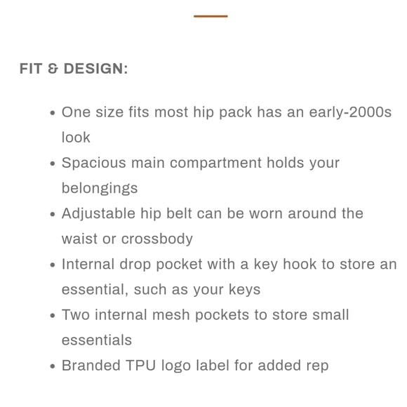 The North Face Hip Pack - Picture 14 of 16